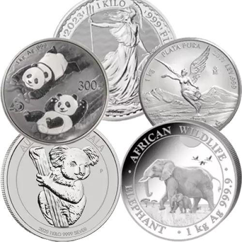 1kg Generic Silver Round (2)