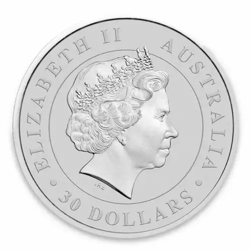 2012 1kg Australian Perth Mint Silver Koala (2)