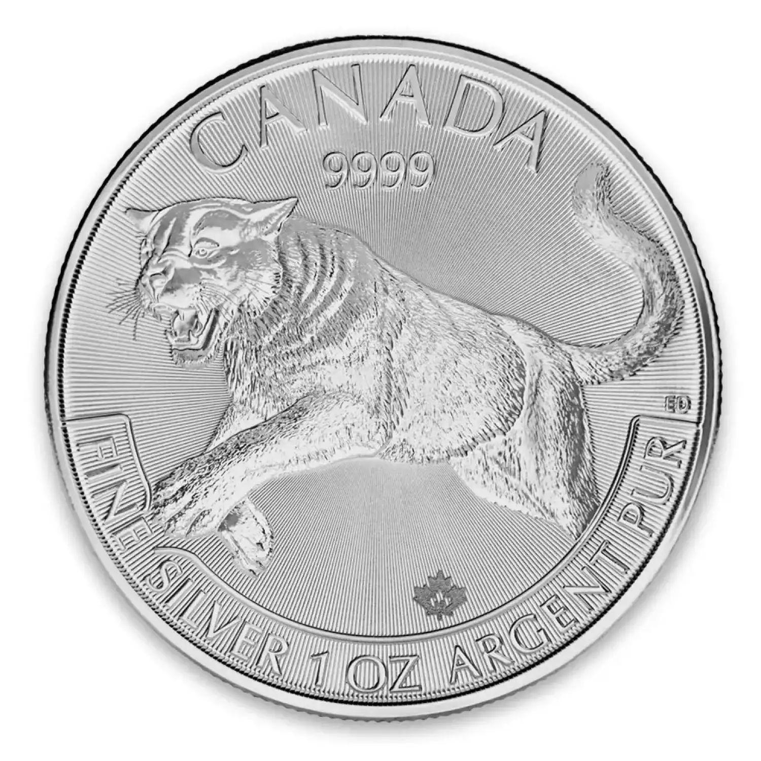 2016 1oz Canadian Silver Predator Series - Cougar (2)