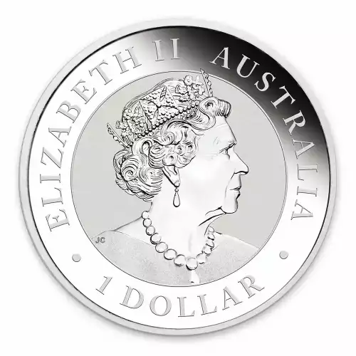 2019 1oz Australian Perth Mint Silver Koala (3)