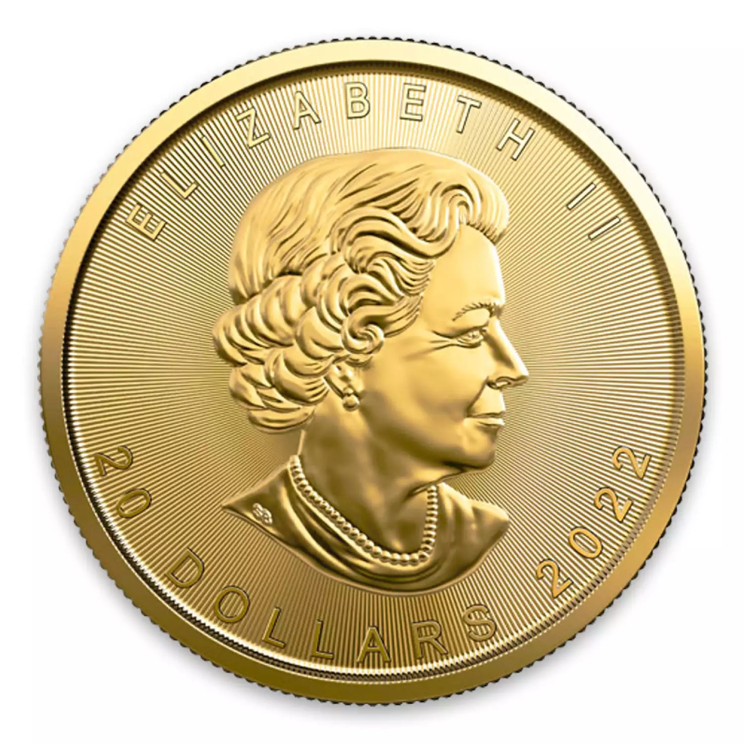 2022 1/2 oz Canadian Gold Maple Leaf (3)
