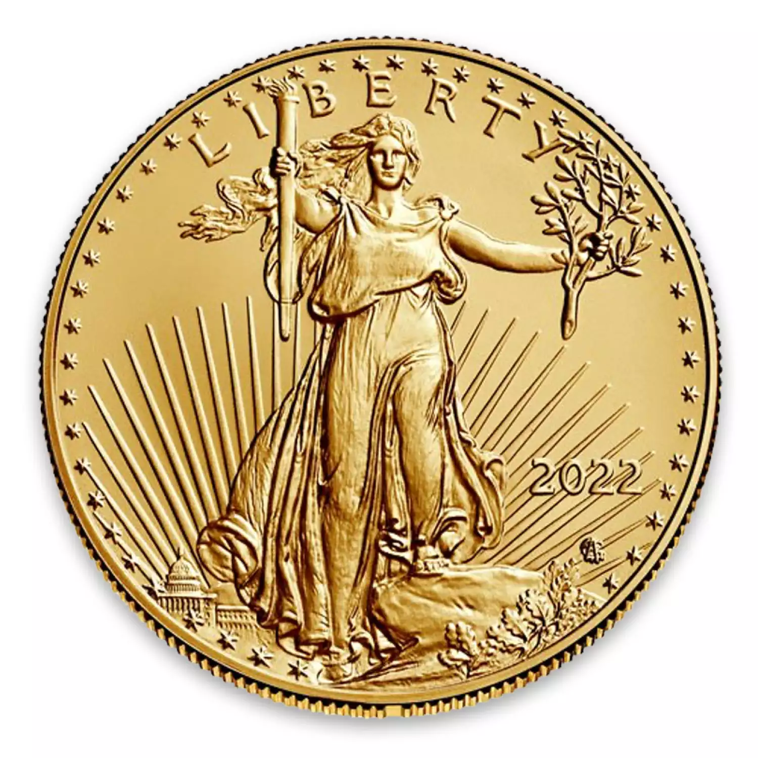 2022 1oz American Gold Eagle (2)