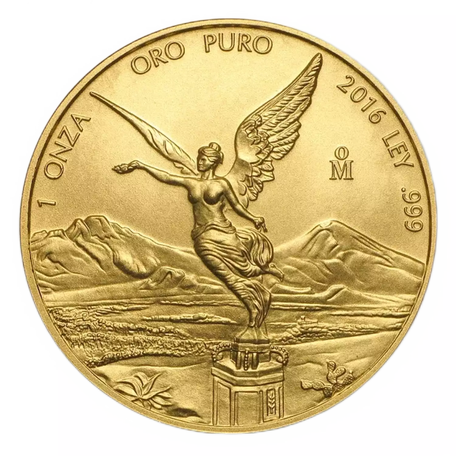 Any Year 1oz Gold Libertad (2)