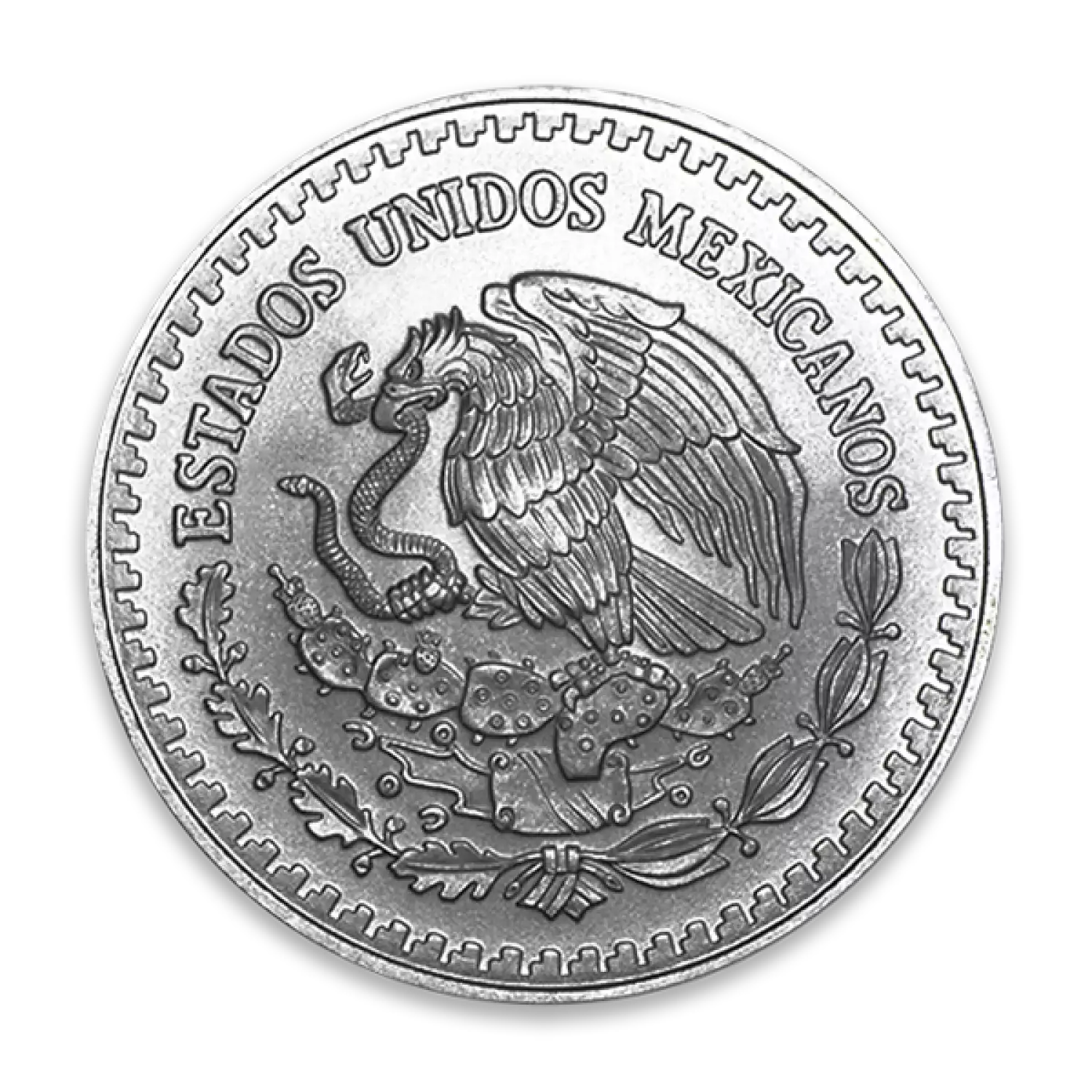 Any Year - 5 oz Mexican Silver Libertad (4)