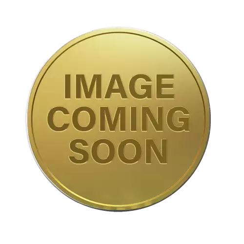 Any Year 1kg Bullion Nugget / Kangaroo Coin